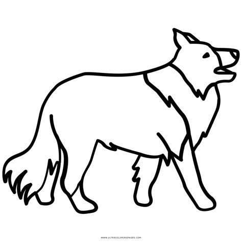 Border Collie Disegni Da Colorare - Ultra Coloring Pages