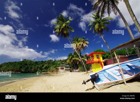 Picturesque beach in Castara, Tobago Stock Photo - Alamy