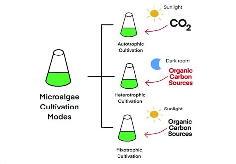 | Microalgae cultivation status. | Download Scientific Diagram