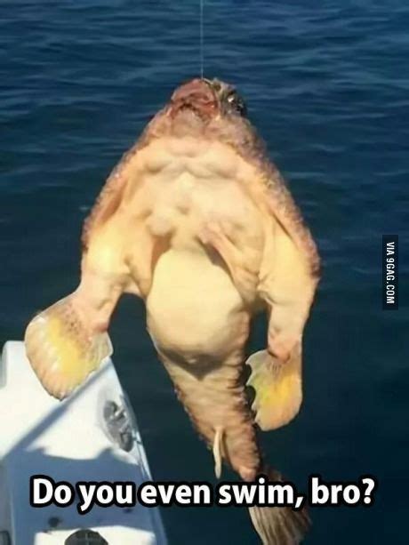 Strong fish... - Meme | Fish, Funny pictures, Funny memes