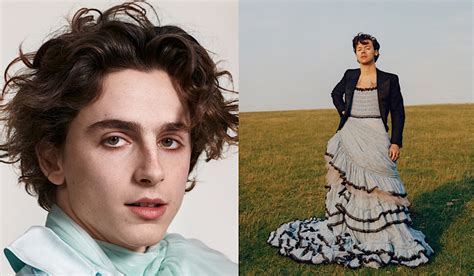 The Rise of Teen Idols Timothée Chalamet & Harry Styles: Destroying ...