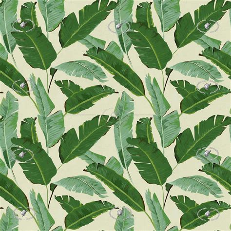 Banana leaves wallpaper texture seamless 20930