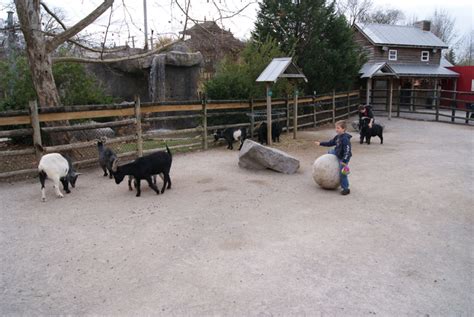 Chattanooga Zoo - Review, Details, and Pictures