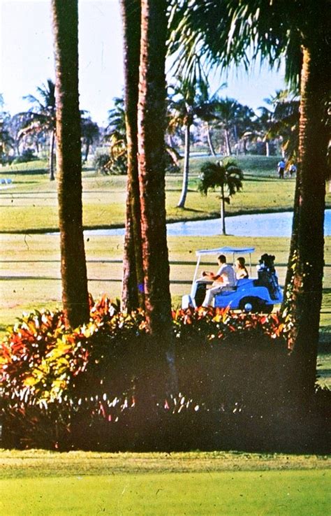 The Florida Golf Course Seeker: Doral Golf Resort & Spa - Par 3 Course