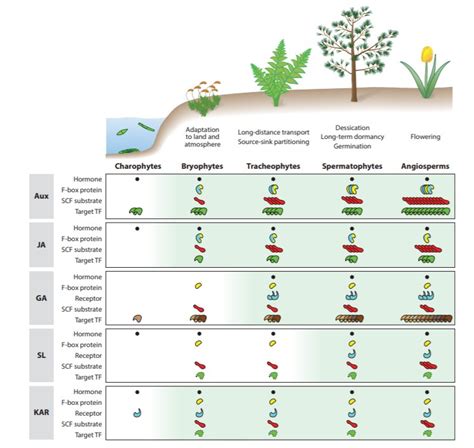 Review: Evolution of plant hormone response pathways ($) (Annu. Rev. Plant Biol.) | Plantae