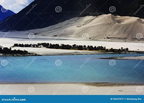 Landscape of the Yarlung Tsangpo Grand Canyon Stock Image - Image of ...