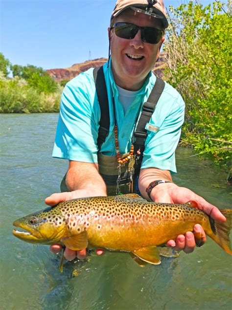 Owyhee River Fly Fishing Eastern Oregon's top rivers