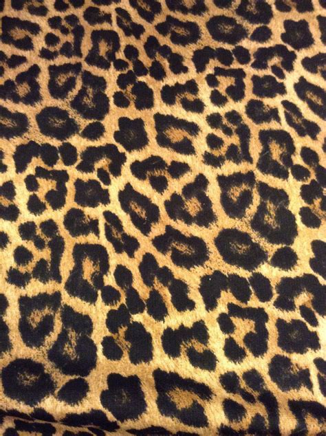 Leopard Skin Wallpapers - Wallpaper Cave