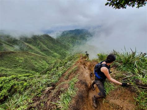 MOANALUA VALLEY TRAIL - 510 Photos & 64 Reviews - Ala Aolani St, Moanalua, Hawaii - Hiking - Yelp