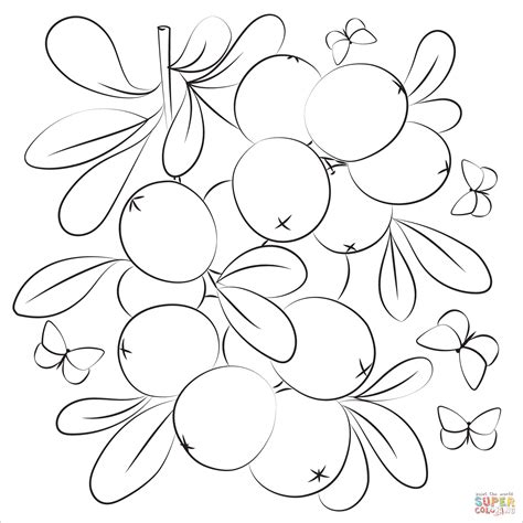 Cranberry coloring page | Free Printable Coloring Pages