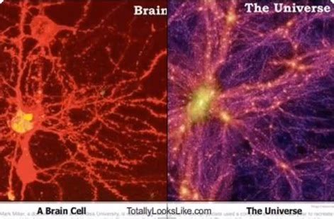 BIG BRAIN: Brain & Universe