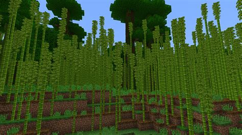 2069597813: Bamboo Forest & Pandas (1.9+ Only) | Minecraft PE Seeds