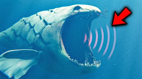 MYSTERIOUS Underwater Sound "The Bloop" Recorded and SHOCKES Scientists ...