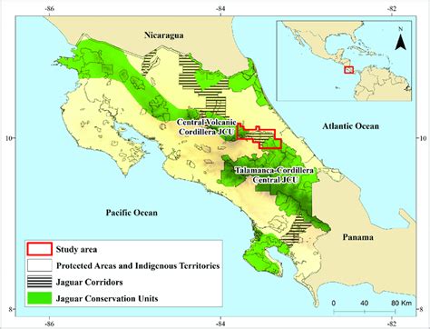 Jaguar conservation units, jaguar corridors, and protected areas in... | Download Scientific Diagram