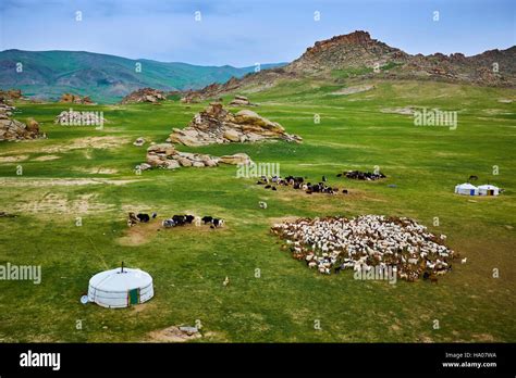 Mongolia, Bayankhongor province, nomad camp Stock Photo - Alamy