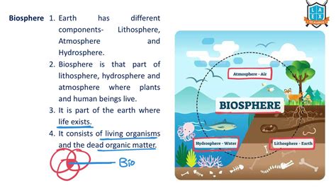 Biosphere Definition