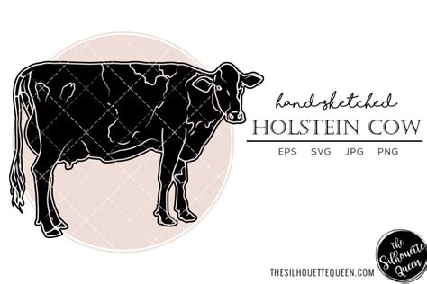 Holstein Cow Sketch Vector