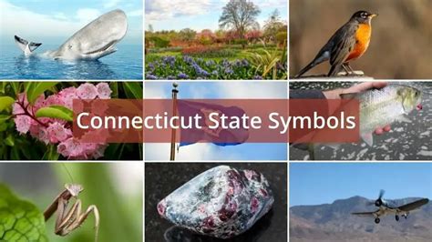 Connecticut State Symbols - learn all about them with our detailed list