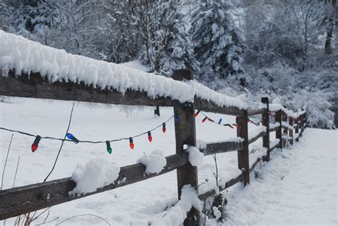 File:Christmas lights strung on snow-covered fence.JPG - Wikimedia Commons