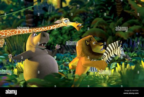 MADAGASCAR, Melman, Gloria, Alex, Marty, 2005. © DreamWorks/courtesy Everett Collection Stock ...