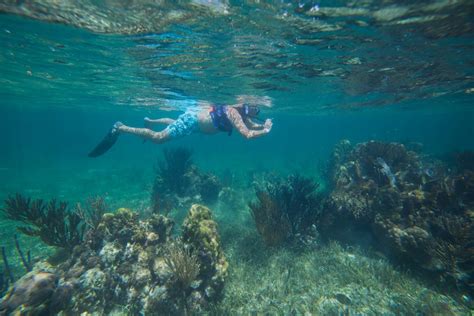 Coral Reef Snorkeling in Puerto Morelos | Private Tour Photosafari ...