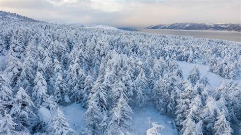 Temperature Dives to Record Lows in Eastern Siberia. Would you Believe -75˚C? » Explorersweb