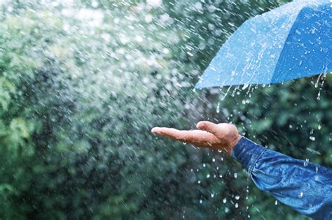 Do Raindrops Have A Shape? - Farmers' Almanac - Plan Your Day. Grow ...