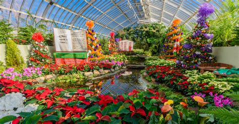 This Week at Phipps: Dec. 11 – 17 | Phipps Conservatory and Botanical ...