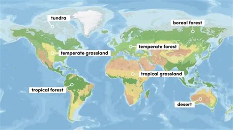 All 8 Biogeographical Realms | Their Animals & Geography