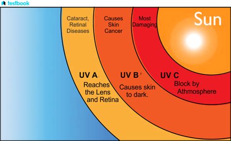 UV Light: Definition, Types, Wavelength, Frequency, Sources, Uses