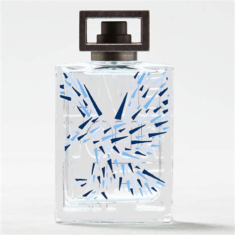 American Eagle Outfitters Live Your Life cologne - fresh aromatic fragrance men