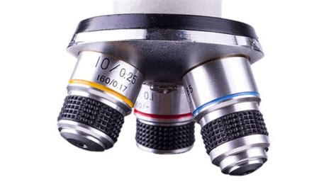 Understanding the Different Types of Microscope Objective Lenses ...