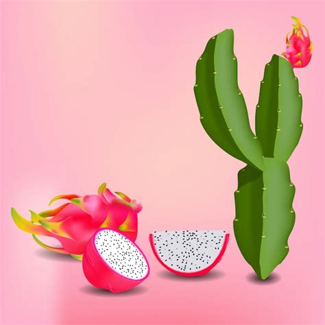 Pitahaya and plant | Premium Vector