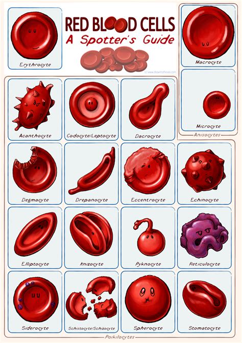 Drawing blood - Axonology