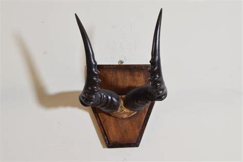 Pair African Topi Horns on Shaped Art Deco Backplates For Sale at 1stDibs