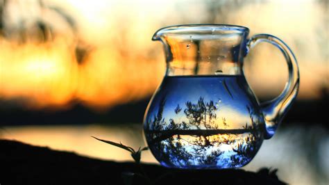 Glass pitcher, bottles, nature, water, glass HD wallpaper | Wallpaper Flare