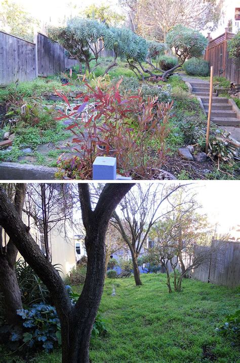 Before And After - An Overgrown Garden Was Transformed Into A Backyard Oasis | Sloped backyard ...