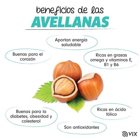 Beneficios de la avellanas | Honey health benefits, Coconut health ...