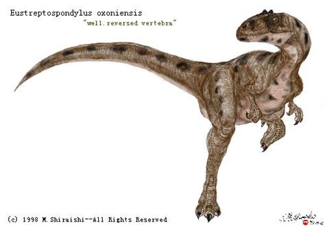 Eustreptospondylus