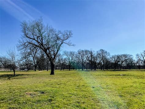 9 Best Pecan Farms in Texas to Visit in 2023 - VERY TRULY TEXAS