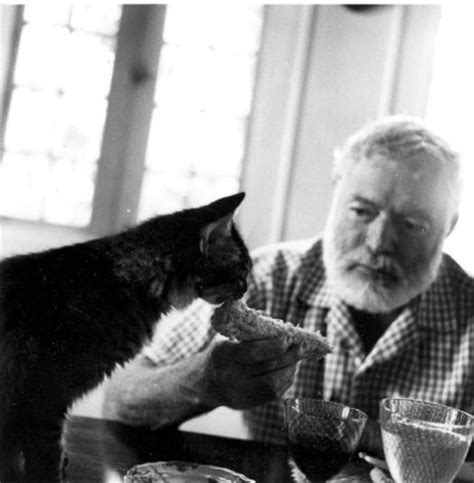 Writers and Cats – Aspasía S. Bissas