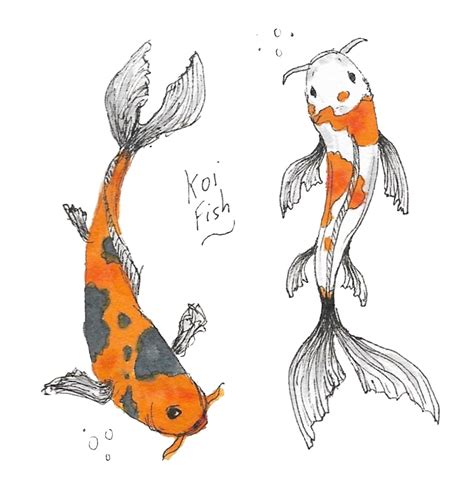 denizhvd - Koi fish sketches, pen and marker