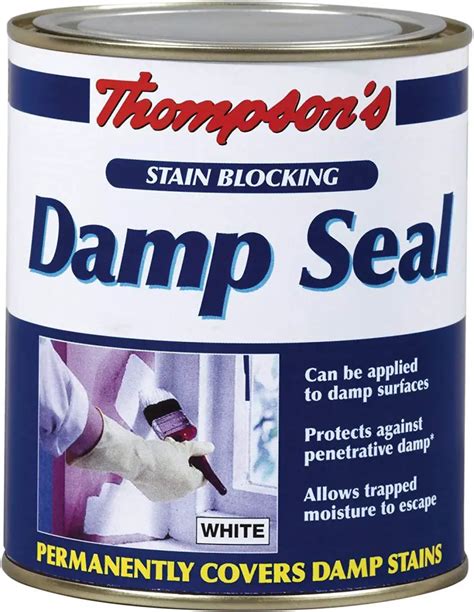 5 Best Anti Damp Seal Paints UK - DIY Boss