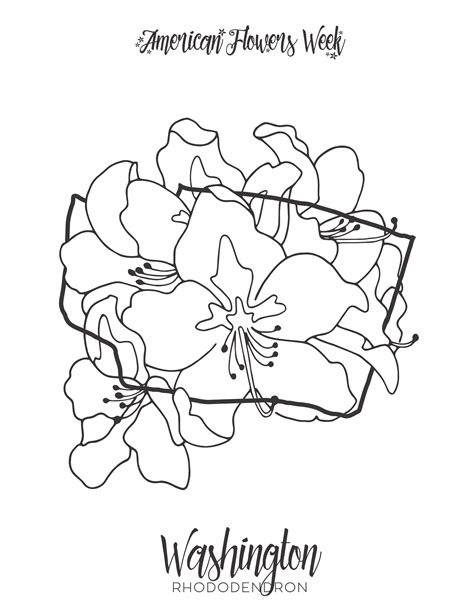 Us State Flowers Coloring Pages