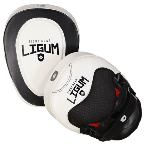 Focus Mitts - Professional Coaching Series - Pair – Ligum Fight Gear