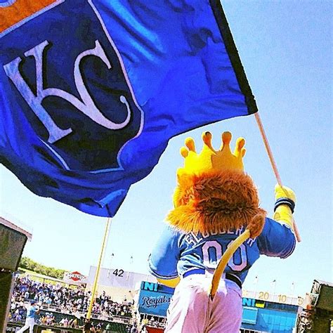 Kansas City's favorite mascot, Sluggerrr. #Royals | Kc royals baseball ...