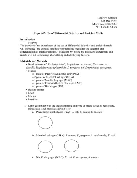 Sample Microbiology Lab Report at Reina Jones blog