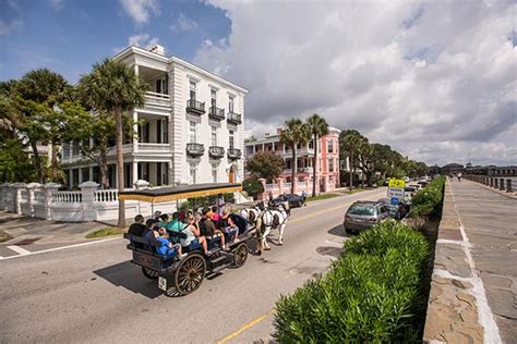 Top-Rated Tours in Charleston : City, Harbor, Plantation, Combo & More