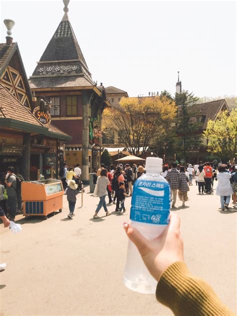 26% OFF Everland Ticket & Shuttle Bus Package from Seoul - Trazy, Korea ...