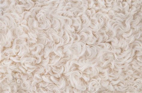 White Fur Texture Background Royalty Free Stock Photos - Image: 20853768